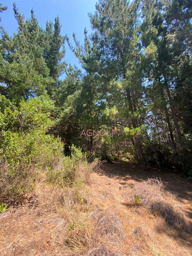 En Venta Excelente Sitio A 5 Minutos De Puertecillo