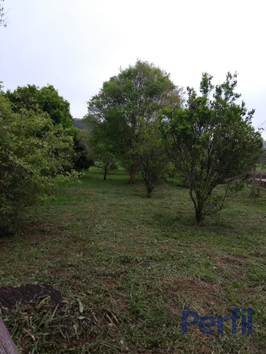 Imagem 6 de 15 de Área Rural - Chácara - 2596