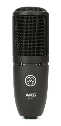 Micrófono Condenser Akg P120 Cardioide De Estudio Perception