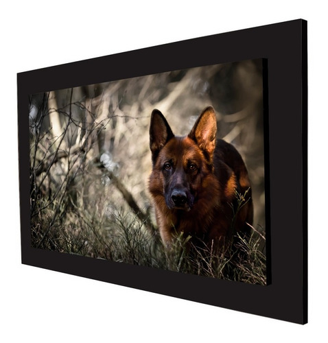 Cuadro 60x40cms Decorativo Perro 2!!!+envío Gratis