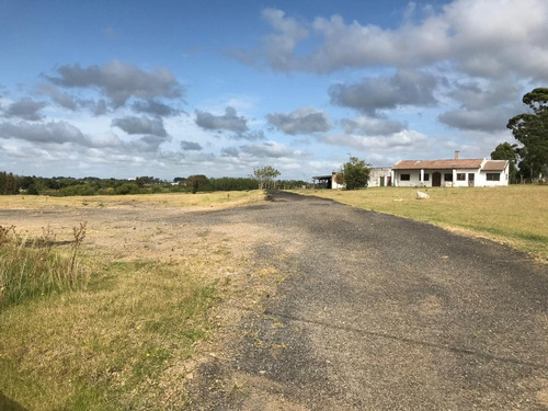 Imagen 1 de 11 de Venta Terreno Ruta 101 Logistica Industrial Deposito