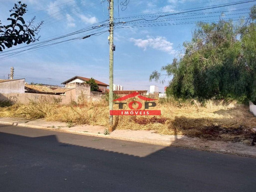 Imagem 2 de 2 de Ótima Localização - Te0275