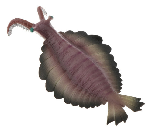 Juguetes Realistas De Animales Marinos Anomalocaris