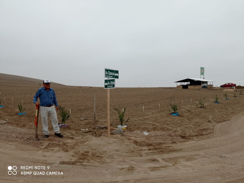 Imagen 6 de 16 de Lotes Por Manzana De 920 M2 C/u Casas Campo Agropec. Cañete