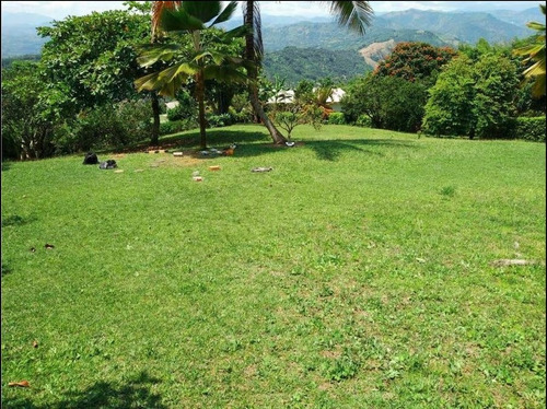 Venta Lote La Cabaña, Manizales. Cod 3803085