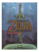 Comprar Libro: The Legend Of Zelda: A Link To The Past