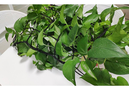 Enrejado Elástico Support Scrog Net Para Invernaderos T (90