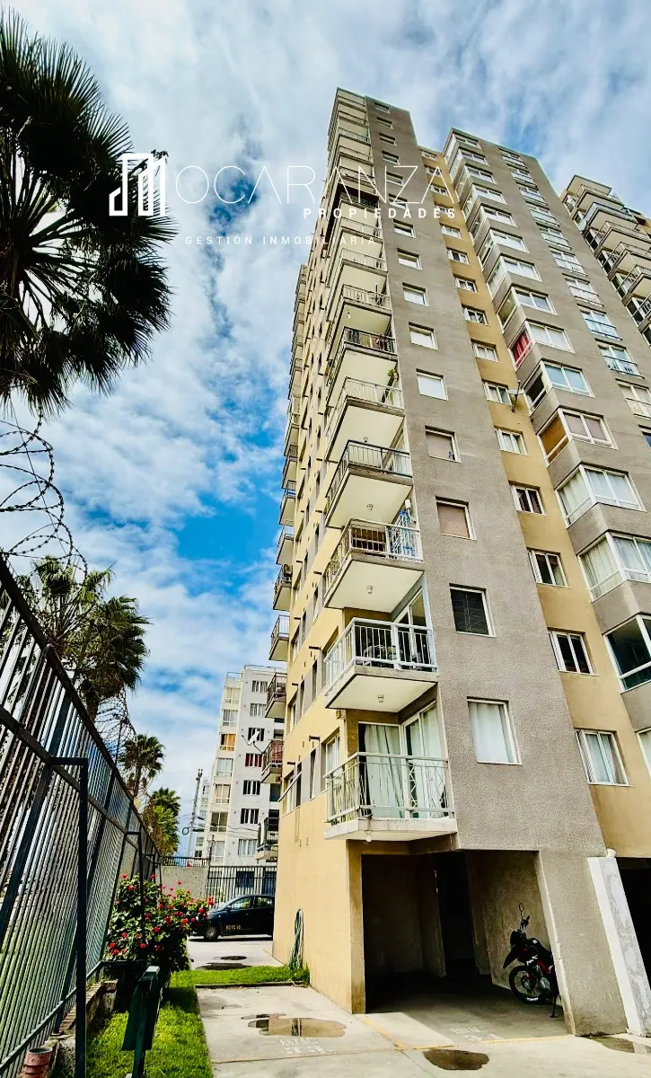 Imagen 3 de 17 de Se Arrienda Año Corrido 2 Dorm 1 Baño Full Amoblado