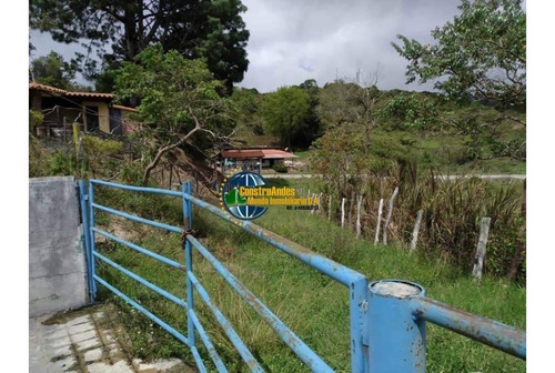 Imagen 3 de 10 de Finca Jaji