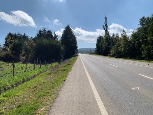 Parcela D 12.000 M2, A 4 K Del Centro, Cabo Blanco Valdivia