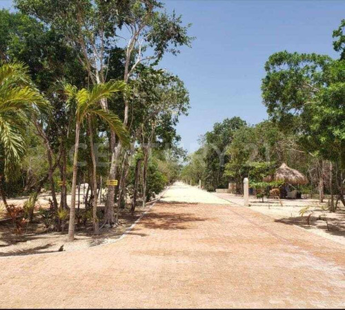 Terreno En Xpu-ha Beach  Estrella De Mar  Tulum, Excelente Ubicación C3838