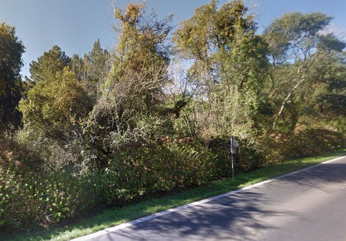 Terreno Em Gramado/rs Com 8,87 Hectares.