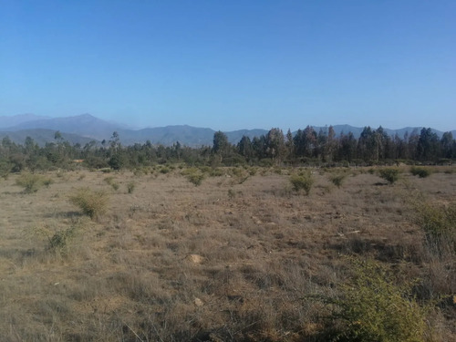 Gran Parcela En Comuna De Zapallar 10000 M2