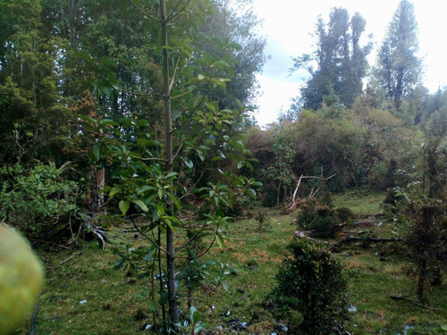 Parcela En Venta En Puerto Varas