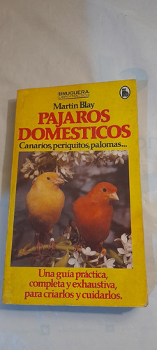 Pájaros Domésticos Canarios Periquitos Palomas Martín Blay