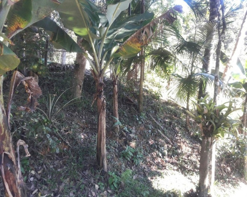 Imagem 15 de 19 de Chácara À Venda Em Juquitiba - 270 - 32982810