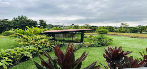 Casa Campestre En Venta En Tebaida/quindio (279062666).