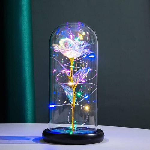 Kit Rosas Flores Eternas Conservadas En Cúpula Con Luces Led