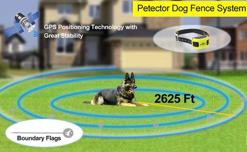 Collar Para Mascota Con Sistema De Gps Negro