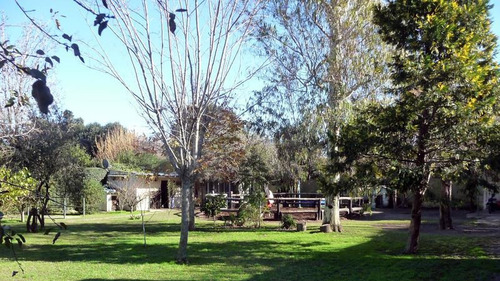 Imagen 12 de 19 de Encantadora Quinta En Venta - Fácil Acceso Desde Camino General Belgrano