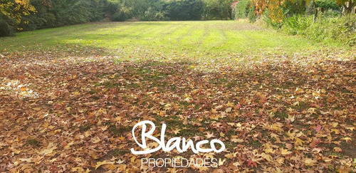 Imagen 6 de 11 de Oportunidad! Excelente Lote Central De 800 Metros Dentro Del Barrio La Delfina.