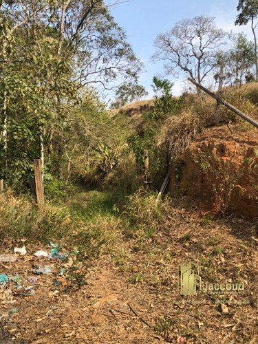 Imagem 12 de 15 de Chácara A Venda No Bairro Conselheiro Paulino Em Nova - 1514-1