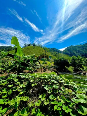 Finca en venta