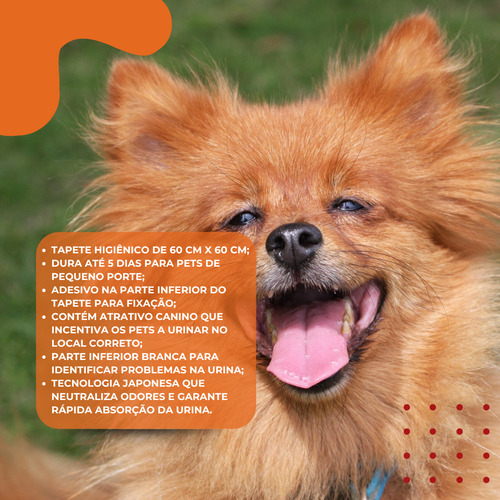 Tapete Ultra Secão Greatpets 80x60 Carvão + Educador PipiPod