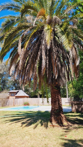 Imagen 1 de 22 de Alquiler Casa Quinta Por Semana / Quincena / Mes / Eventos En El Día
