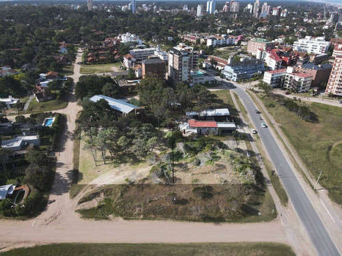 Imagen 7 de 12 de 4200 - Lote Multifamiliar Hotelero Simbad El Marino