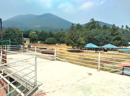 Imagen 17 de 22 de Se Vende Finca, Con Cabaña En El Ajusco A 2 Pasos De Club Hípico, Ideal Para Descanso Y Diversion