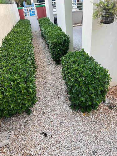 Casa En Venta En El Residencial Las Orquideas, La Romana