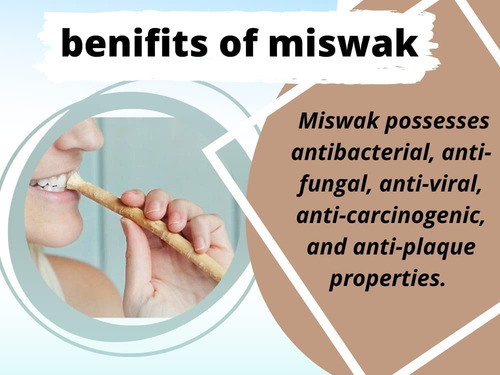 Miswak (costura) Peelu Escova De Dentes Natural Tradicional