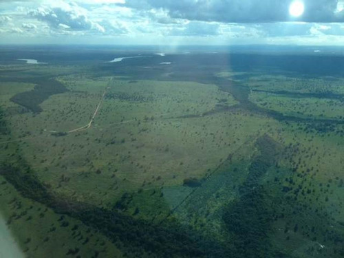 Imagem 28 de 30 de Fazenda À Venda, 430000 M² Por R$ 313.900.000,00 - Centro - Pium/to - Fa0047