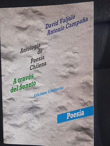 Antologia De Poesia Chilena A Traves Del Soneto
