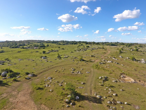236hás Campo Criador En Florida