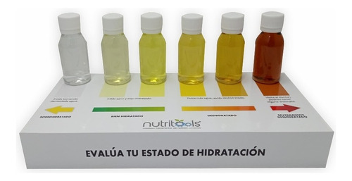 Modelo Anatómico De Urinario Humano Nutritools Kit De Hidratacion