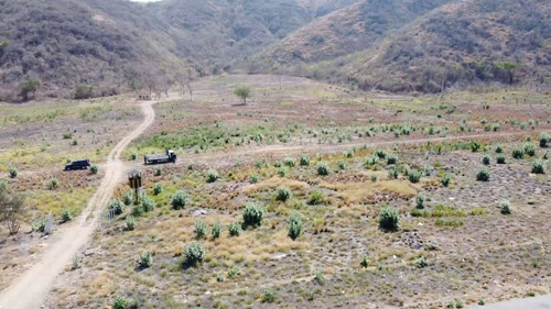 Imagen 2 de 14 de Terreno En Venta En Guacara Cod.142747