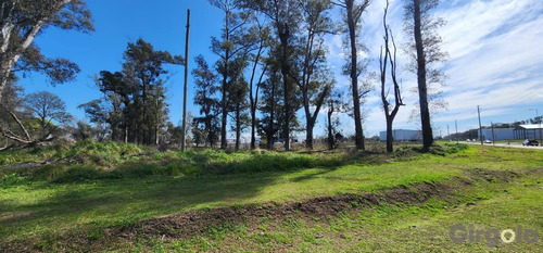 Terreno / Lote En Venta En El Polo Industrial De General Rodríguez