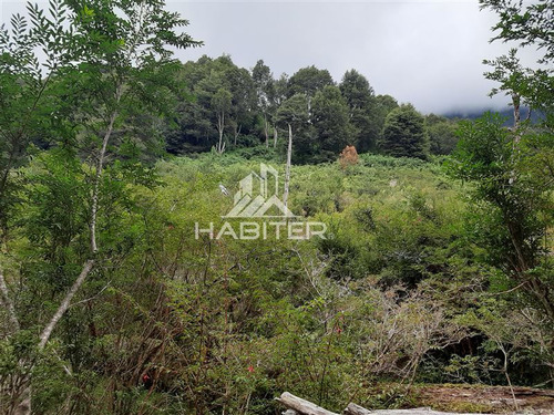 Imagen 22 de 30 de Agrícola En Venta En Aisén
