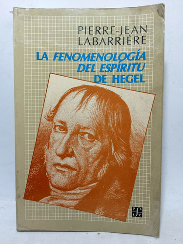 La Fenomenología Del Espíritu De Hegel - Pierre Jean 