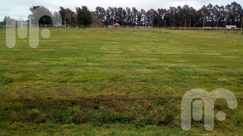 Imagen 9 de 19 de Terreno - Arana