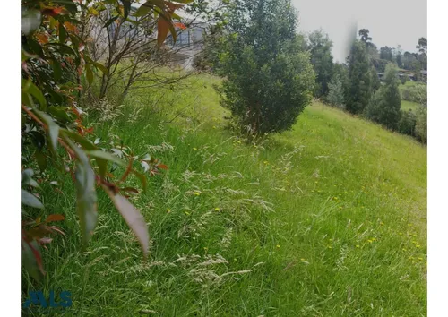 Lote En Balmoral(mls#246895)