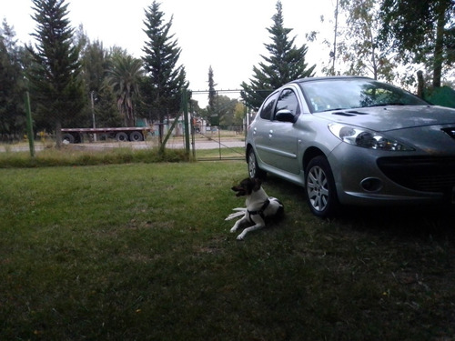 Peugeot 207 2010 1.6 Xt