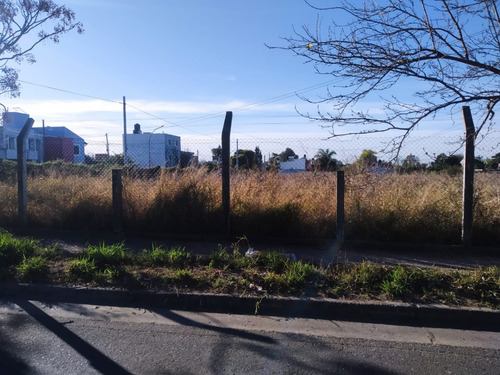 Terreno En Alquiler 6000 Metros.- Alto Alberdi