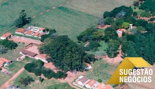 Imagem 10 de 15 de Fazenda No Asfalto Agricultura Ou Pecuaria - 3112