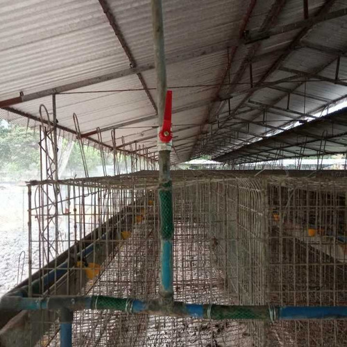 Finca De 12 Hectareas De Gallinas Ponedoras En Villa De Cura