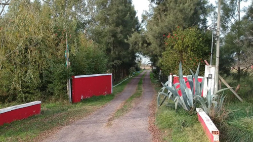 Imagen 5 de 9 de Campo/chacra En Chascomús 3 Ha - Con Emprendimiento Avícola