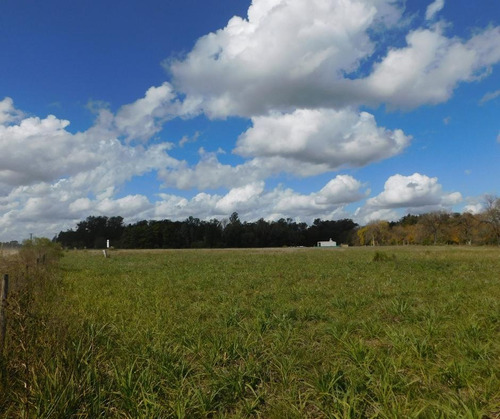 Imagen 4 de 12 de Venta - Lote 1766m2 - Sobre Colectora Ruta 8 El Remanso - Exaltacion De La Cruz