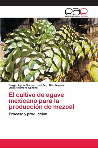 El Cultivo De Agave Mexicano Para La Producción De Mezcal